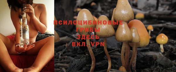 бутират Бородино