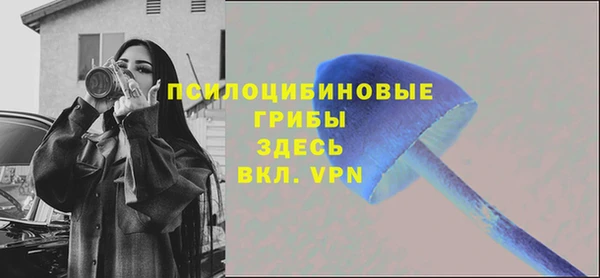 крисы Бронницы