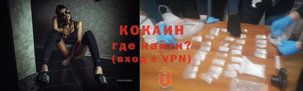 крисы Бронницы
