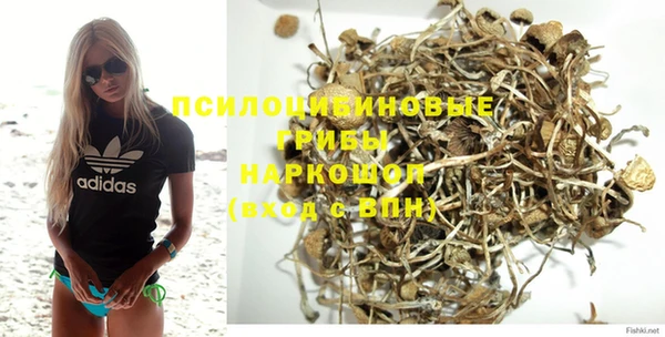 крисы Бронницы