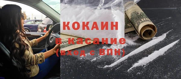 крисы Бронницы