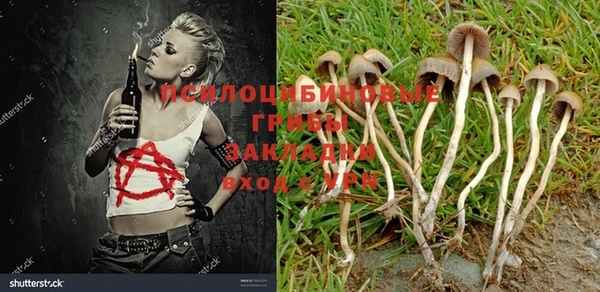крисы Бронницы